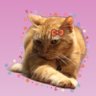 V2 (วีทู)'s profile picture