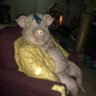 Profilbild von Sebastien du Vercors