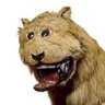 Фото профиля Leo