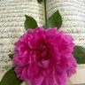 م's profile picture