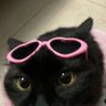 Nellyโฎโห's profile picture