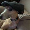 Eyeroll's profile picture