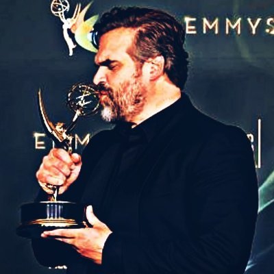 DavidHarbour.home's profile picture
