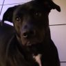 Profilbild von Oldman