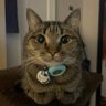 mos's profile picture