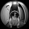 snoopiedog profil fotoğrafı