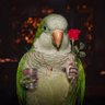 M4L1W4N profil fotoğrafı