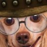 ילד מפגר.village idiot's profile picture