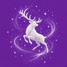 panxingxing's profile picture