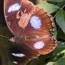 manash gogoi's profile picture