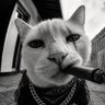 𝐅𝐨𝐫𝐠𝐨𝐭𝐭𝐞𝐧 𝐅𝐫𝐚𝐦𝐞's profile picture