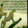 شامخ شموخ الجبال الرواسي's profile picture