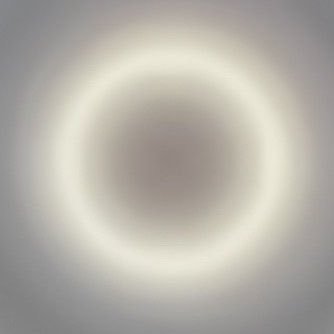 liittlledaisy's profile picture