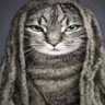 Profilbild von merdo3