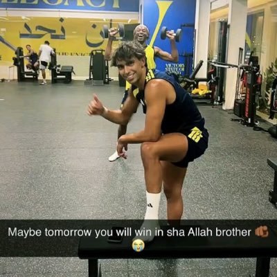 T's profile picture