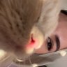 Heba AlQaisi's profile picture