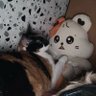Vika #KhomKhlang preoccupied 的头像