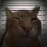 Curnew's profile picture