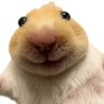 やーまん profil fotoğrafı