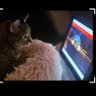 Cristina's profile picture