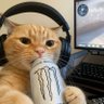 Profilbild von pizu