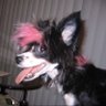 Profilbild von calvin
