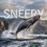 Sneery² 的头像