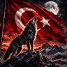 Фото профиля Türk Ruhu