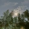 ARK's profile picture