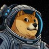 Profilbild von ddogetf