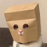 ZCAT 的头像