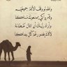 صقر الجزيرة 的头像