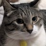 ルー's profile picture