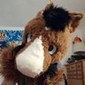 Profilbild von Pichu2006 (BoJack Sugarman)
