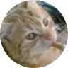 one80's profile picture