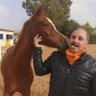 Фото профиля Safwan alamad