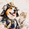 Profilbild von æ±äº¬æ¥åžžé²ïŒãã©å°è»