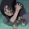 Profilbild von pedro