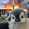 Profilbild von Bachfv