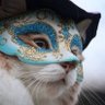 van NaN's profile picture