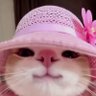 aninha profil fotoğrafı