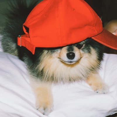 𝓙𝓲𝓷𝓷𝓲𝓮𝓷 ₇ (-19 Manifiesto WAB:TE en 🇨🇴)'s profile picture