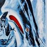 Profilbild von Moby Dick