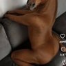 GÖKMAN AMA TERSİ TEMİZ 的头像