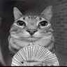 blaze's profile picture
