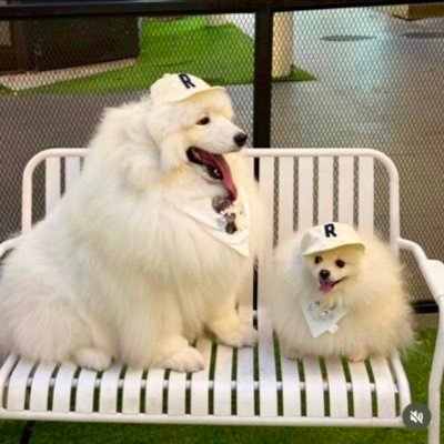 Nattanee (Fan Account)'s profile picture