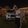 عزّ 🐜 的头像