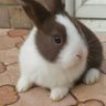 Profilbild von pixie