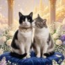 エレノア profil fotoğrafı