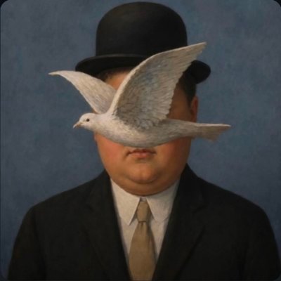 matiu's profile picture
